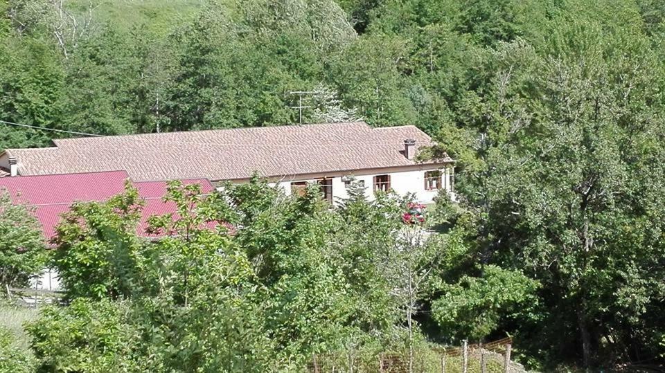 Rio Ricco Vakantieboerderij *