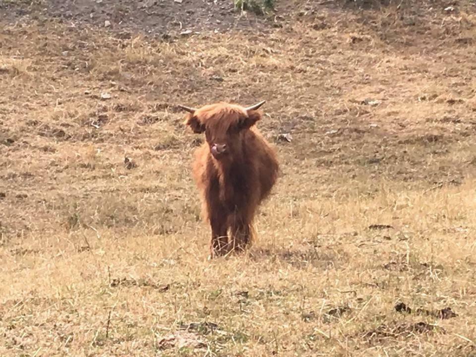 Rio Ricco Vakantieboerderij *